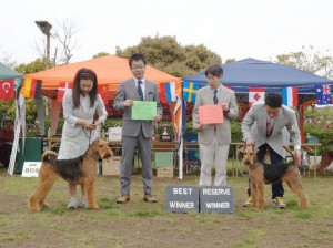 20150419 牝ウィナーズ